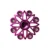 Fucsia